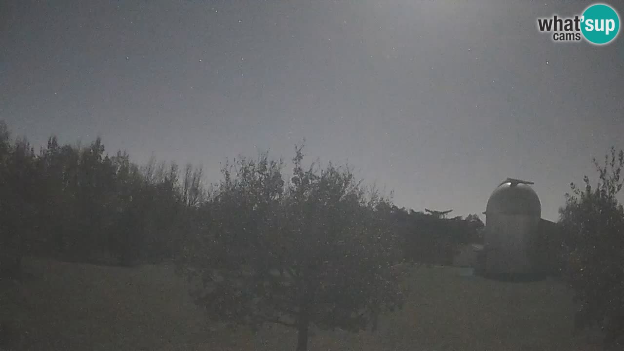 Webcam en direct de l’Observatoire de Višnjan – Explorez le ciel, les astéroïdes, les comètes et les météoroïdes