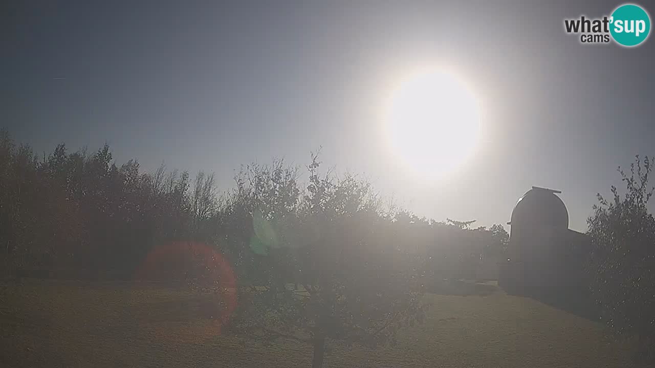 Webcam live dell’Osservatorio di  – Esplora il cielo, gli asteroidi, i comete e i meteoroidi.