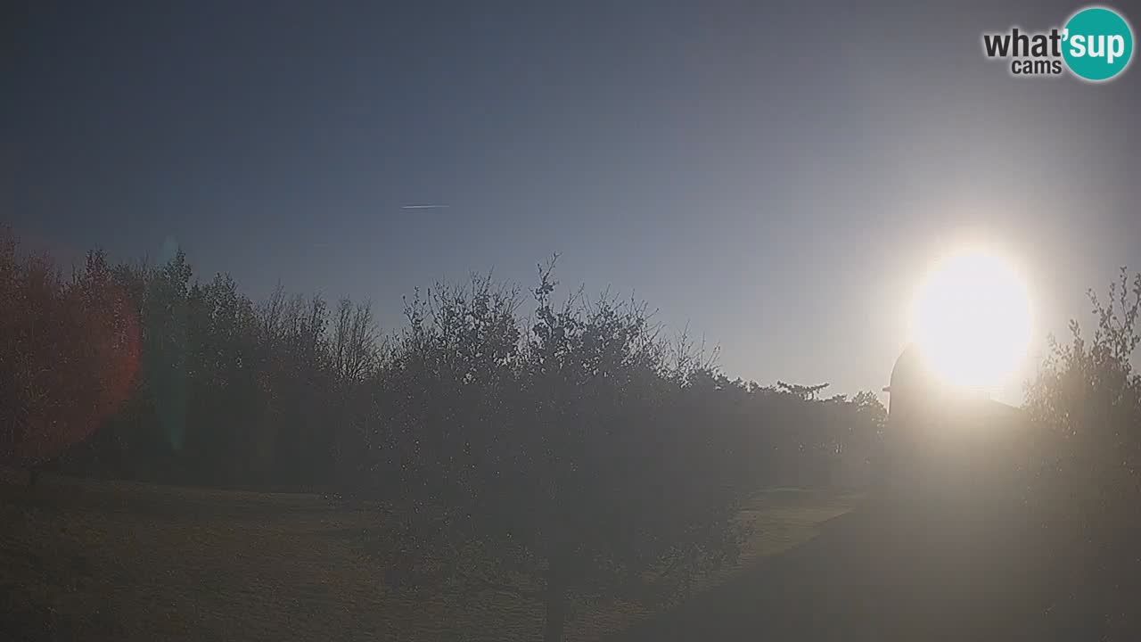 Cámara web en vivo del Observatorio de Višnjan: explora el cielo, los asteroides, cometas y meteoroides