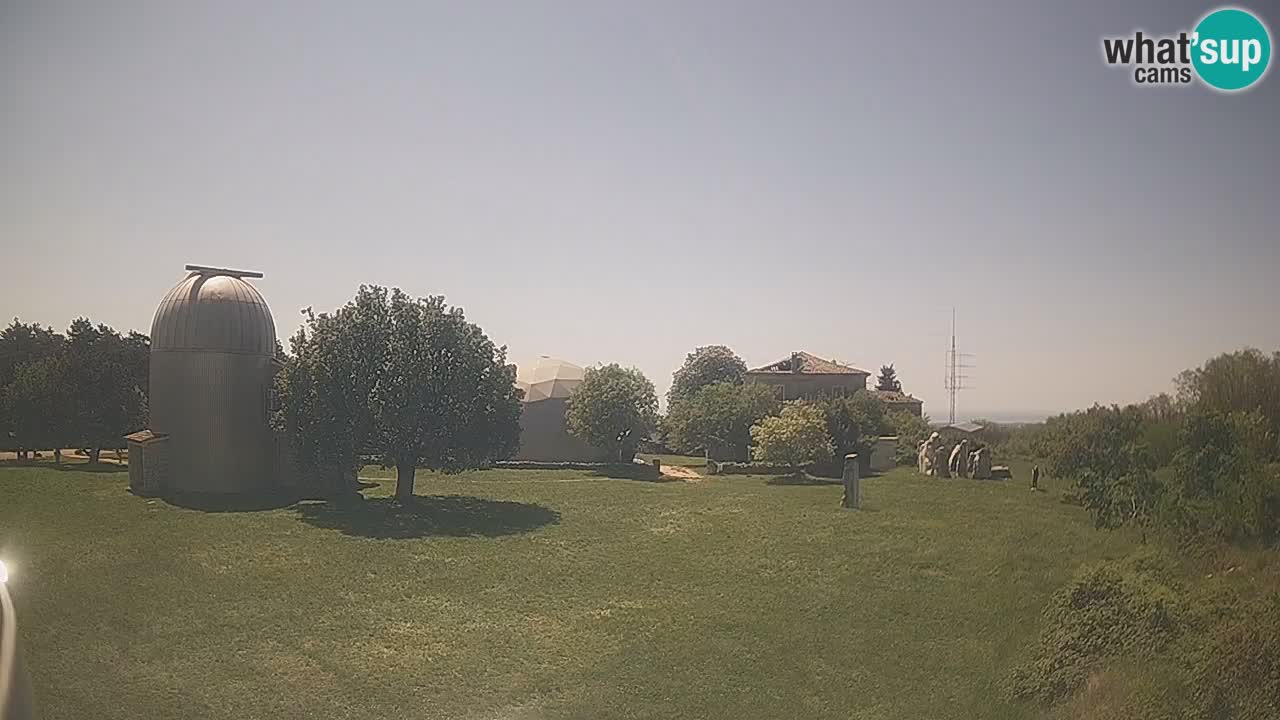 Webcam en direct de l’Observatoire de Višnjan – Explorez le ciel, les astéroïdes, les comètes et les météoroïdes