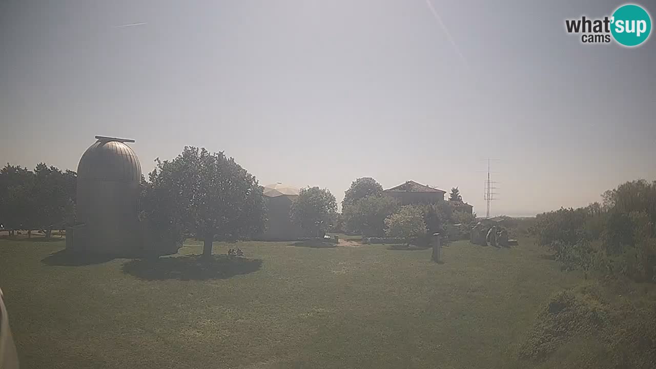 Webcam en direct de l’Observatoire de Višnjan – Explorez le ciel, les astéroïdes, les comètes et les météoroïdes