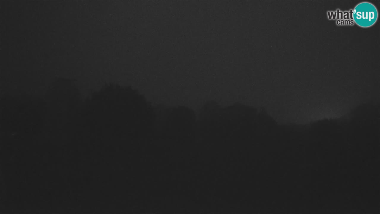 Višnjan-Observatorium Live Webcam – Explore the Sky, Asteroids, Comets, and Meteoroids
