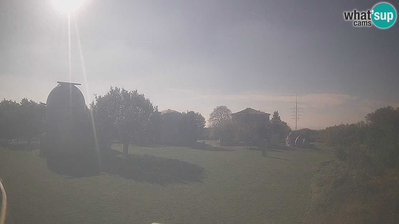 Višnjan Observatory Live Webcam – Explore the Sky, Asteroids, Comets, and Meteoroids
