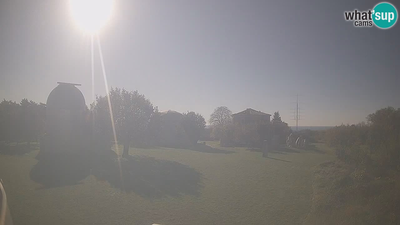 Webcam en direct de l’Observatoire de Višnjan – Explorez le ciel, les astéroïdes, les comètes et les météoroïdes