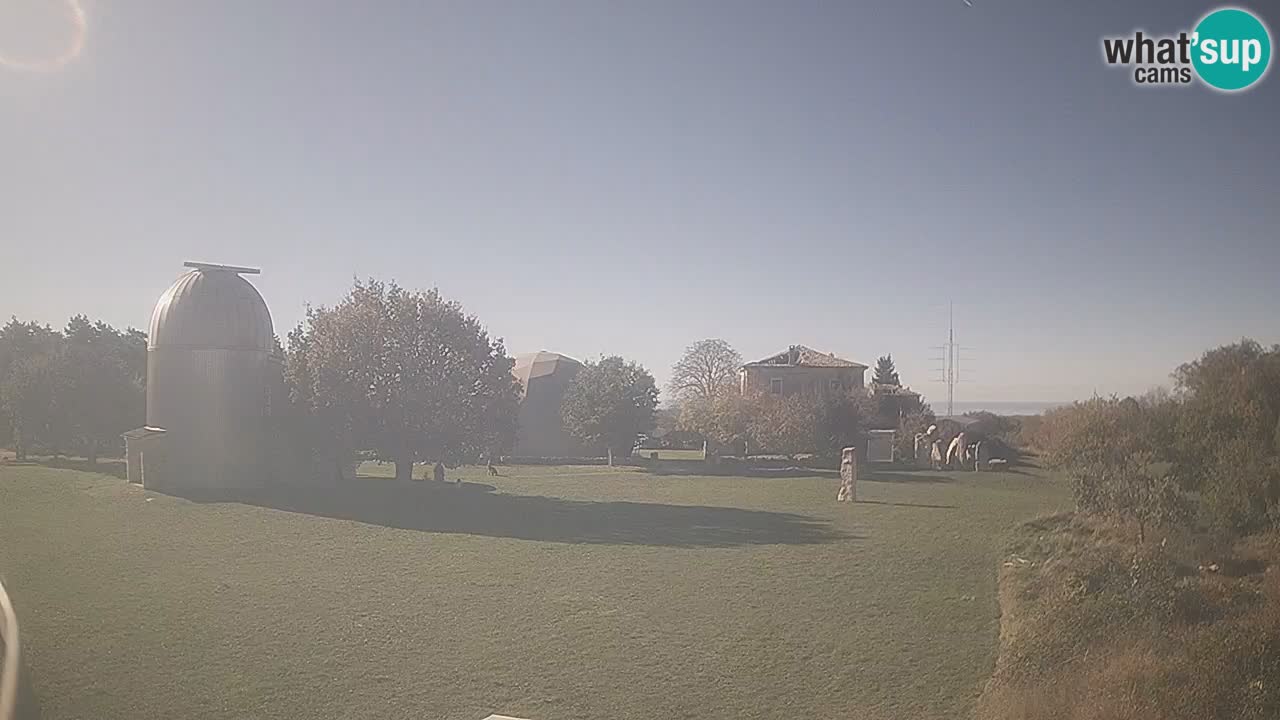 Višnjan-Observatorium Live Webcam – Explore the Sky, Asteroids, Comets, and Meteoroids