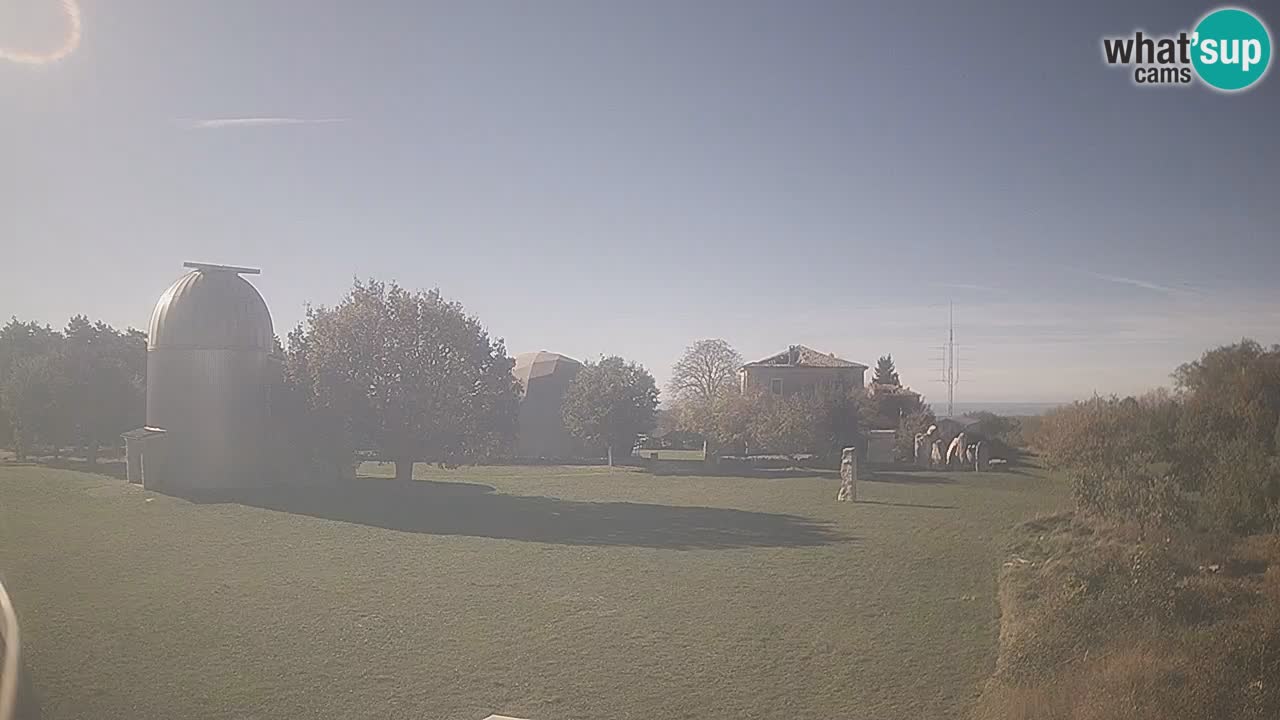 Višnjan-Observatorium Live Webcam – Explore the Sky, Asteroids, Comets, and Meteoroids