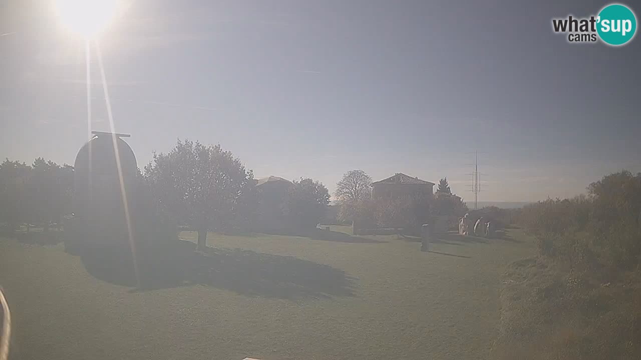 Webcam en direct de l’Observatoire de Višnjan – Explorez le ciel, les astéroïdes, les comètes et les météoroïdes