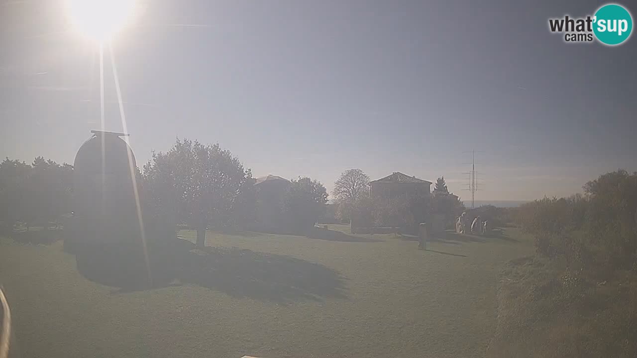 Višnjan-Observatorium Live Webcam – Explore the Sky, Asteroids, Comets, and Meteoroids