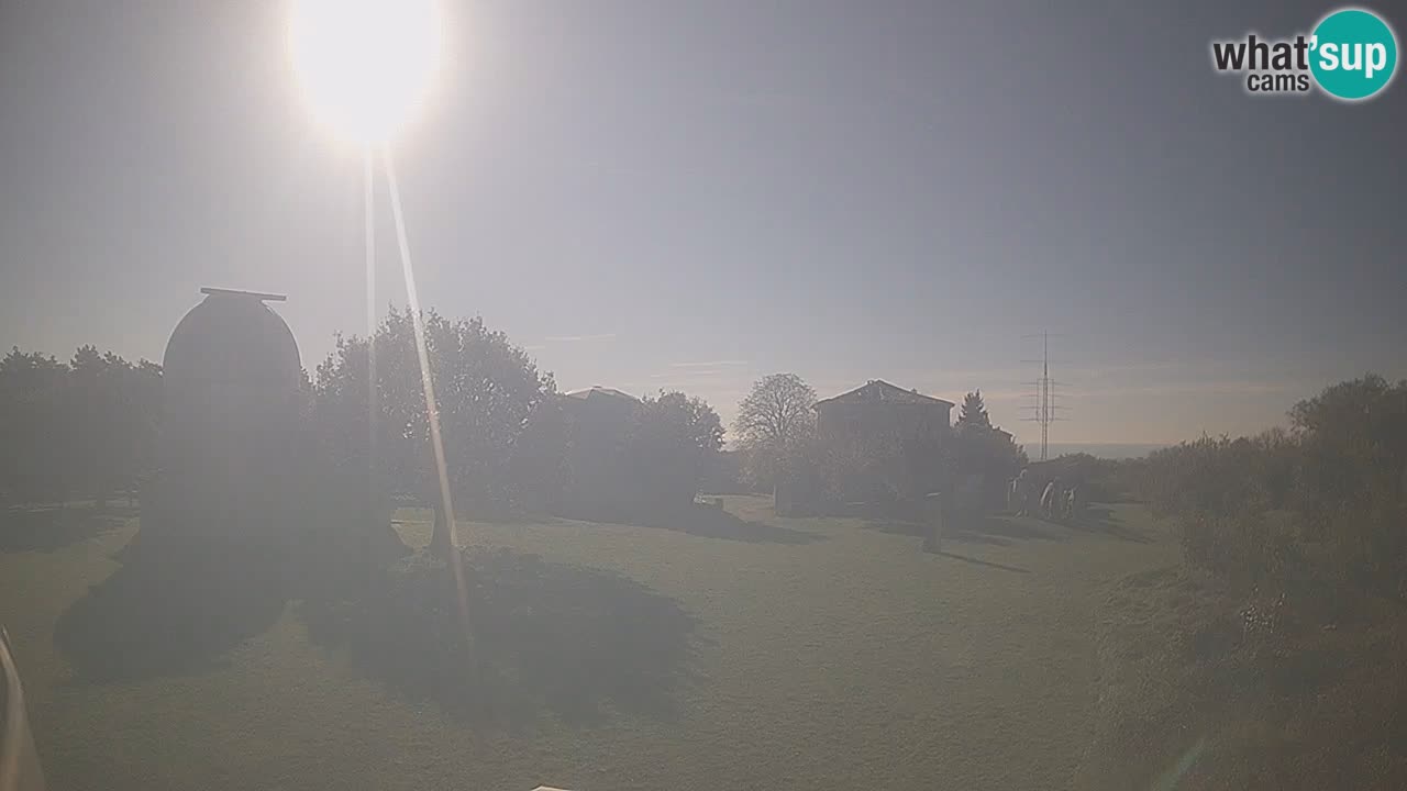 Višnjan Observatory Live Webcam – Explore the Sky, Asteroids, Comets, and Meteoroids