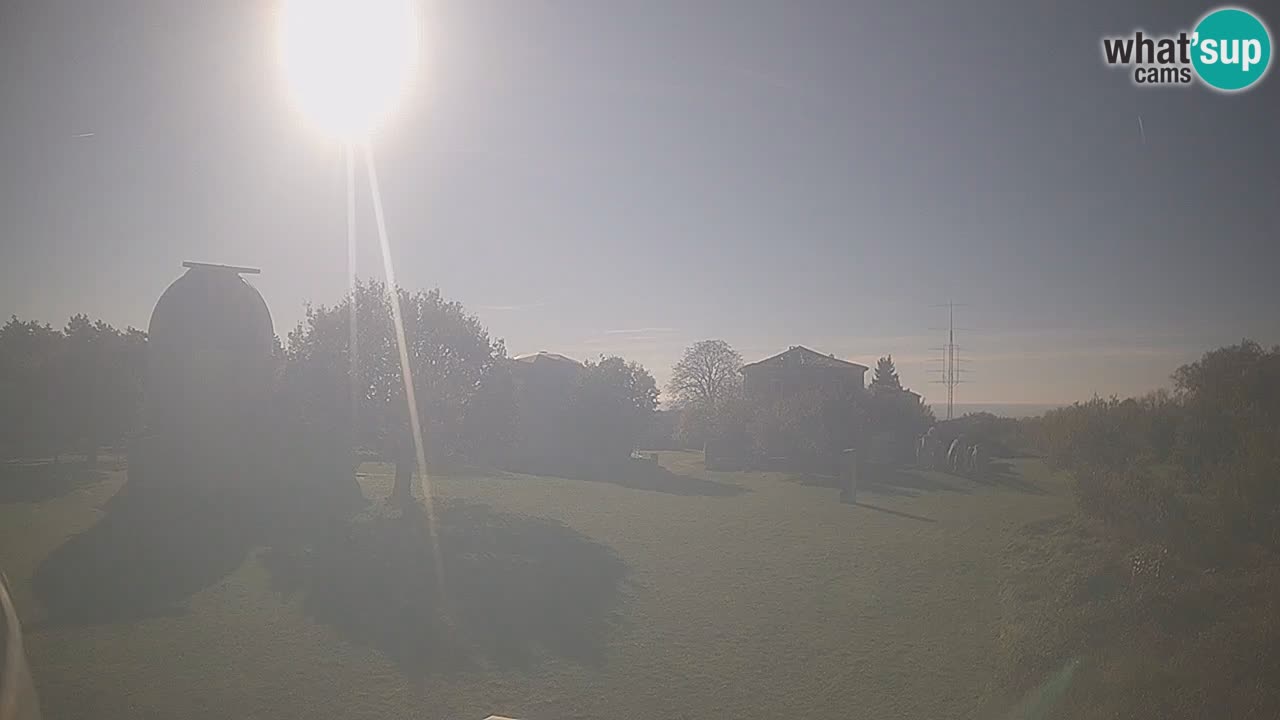 Webcam live dell’Osservatorio di  – Esplora il cielo, gli asteroidi, i comete e i meteoroidi.