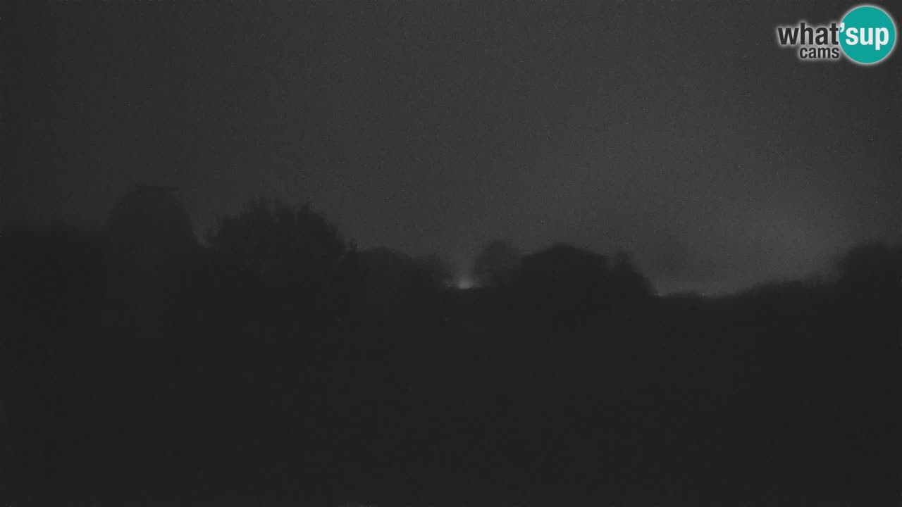 Webcam en direct de l’Observatoire de Višnjan – Explorez le ciel, les astéroïdes, les comètes et les météoroïdes