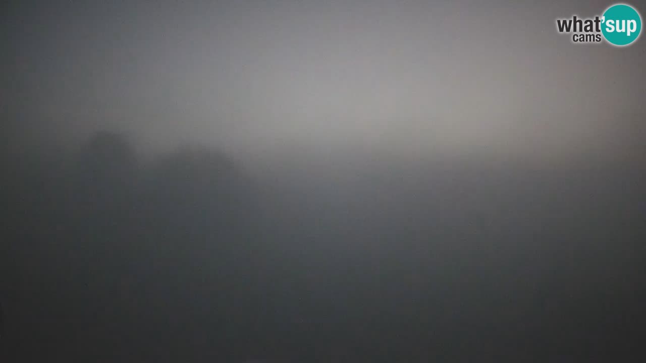 Višnjan-Observatorium Live Webcam – Explore the Sky, Asteroids, Comets, and Meteoroids