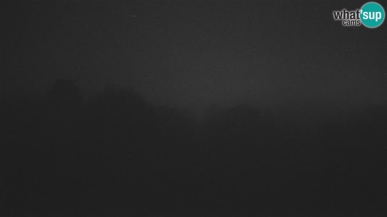 Višnjan-Observatorium Live Webcam – Explore the Sky, Asteroids, Comets, and Meteoroids