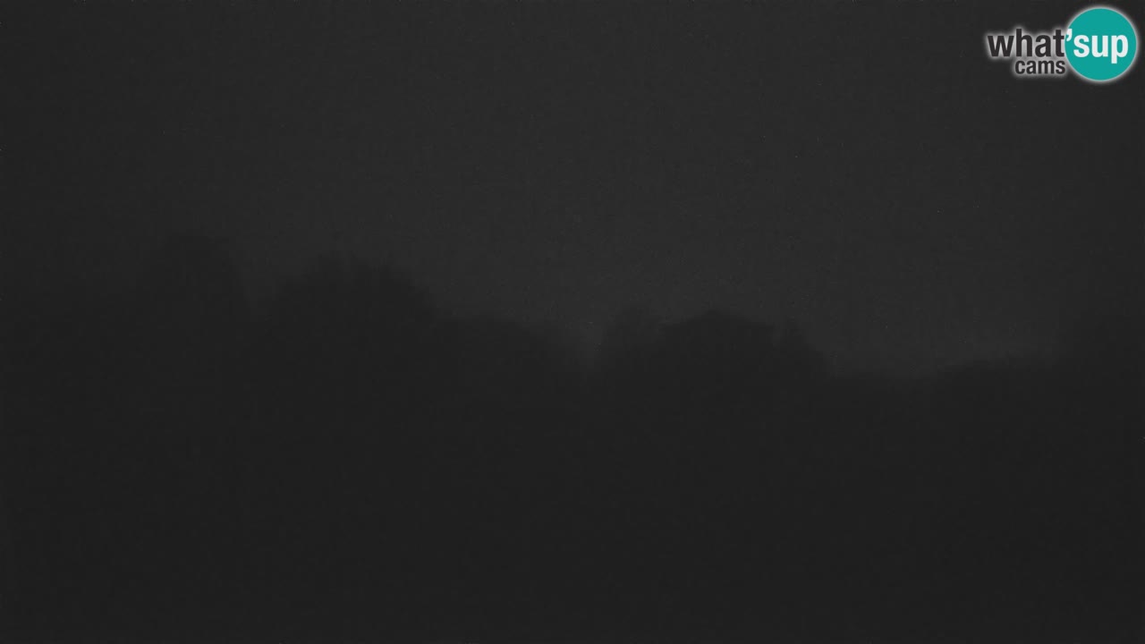 Webcam en direct de l’Observatoire de Višnjan – Explorez le ciel, les astéroïdes, les comètes et les météoroïdes