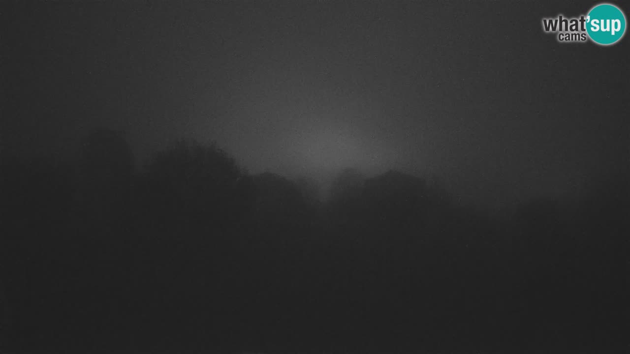 Višnjan Observatory Live Webcam – Explore the Sky, Asteroids, Comets, and Meteoroids