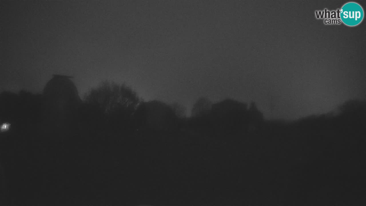 Višnjan-Observatorium Live Webcam – Explore the Sky, Asteroids, Comets, and Meteoroids