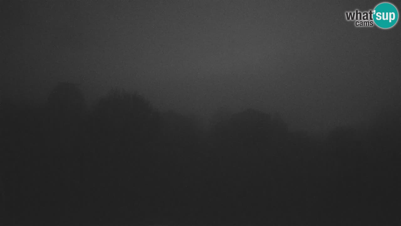 Webcam en direct de l’Observatoire de Višnjan – Explorez le ciel, les astéroïdes, les comètes et les météoroïdes