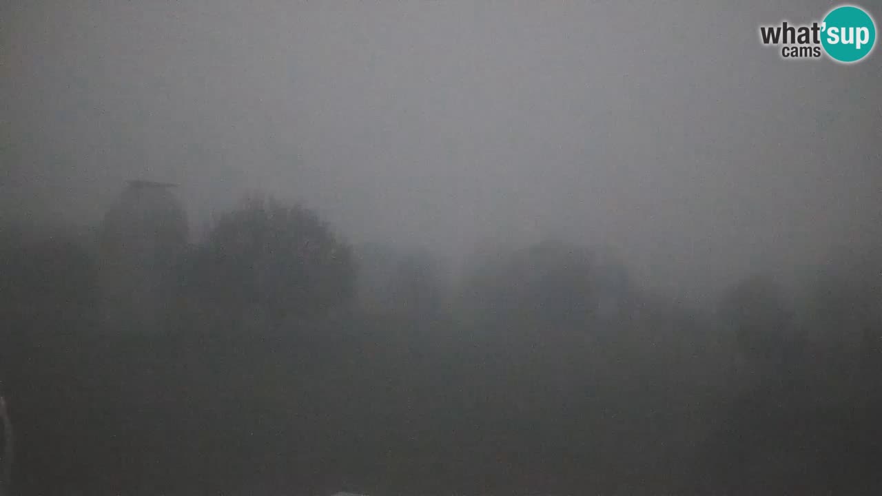 Cámara web en vivo del Observatorio de Višnjan: explora el cielo, los asteroides, cometas y meteoroides