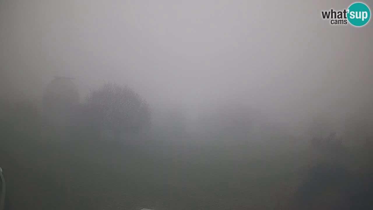 Višnjan-Observatorium Live Webcam – Explore the Sky, Asteroids, Comets, and Meteoroids