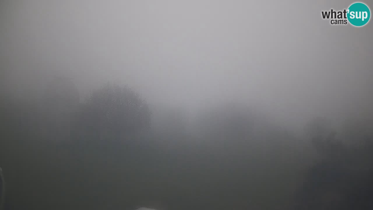 Višnjan-Observatorium Live Webcam – Explore the Sky, Asteroids, Comets, and Meteoroids