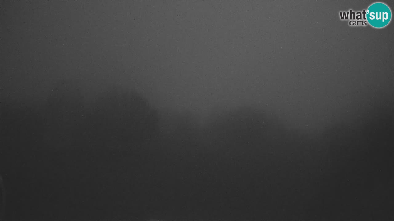 Webcam en direct de l’Observatoire de Višnjan – Explorez le ciel, les astéroïdes, les comètes et les météoroïdes