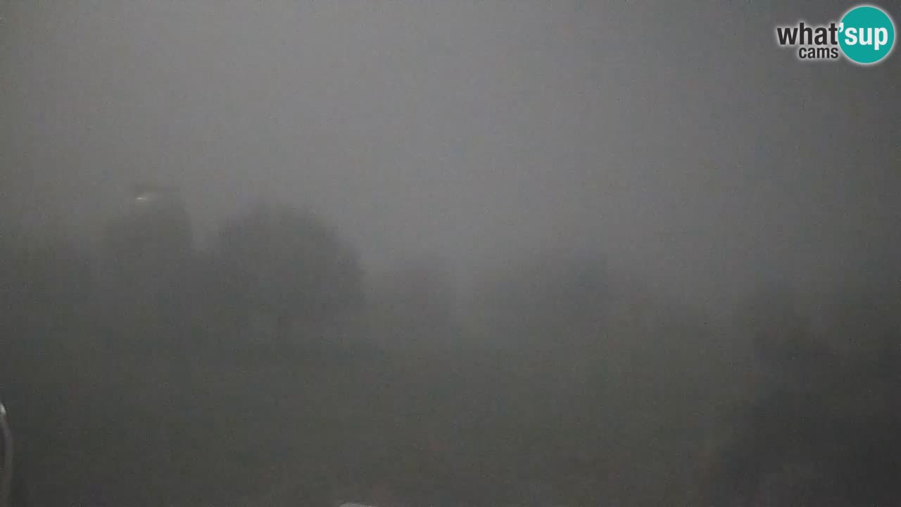 Webcam en direct de l’Observatoire de Višnjan – Explorez le ciel, les astéroïdes, les comètes et les météoroïdes