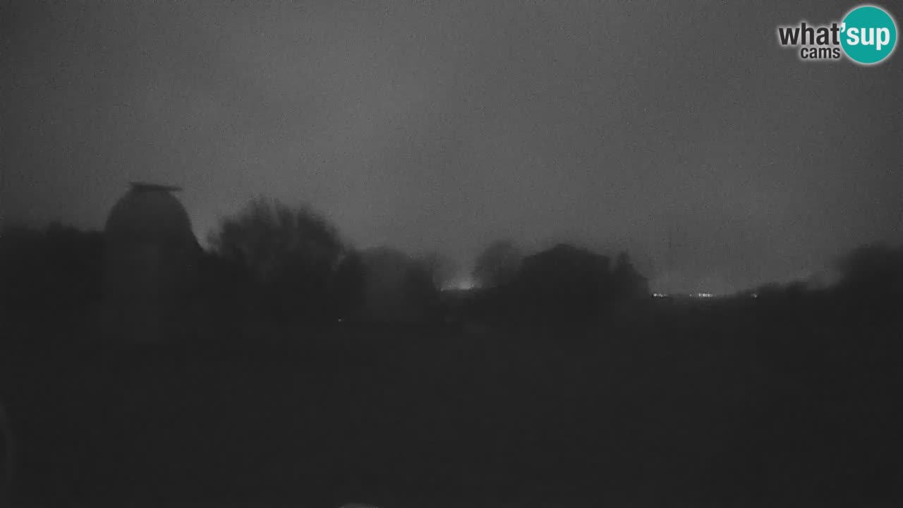 Webcam live dell’Osservatorio di  – Esplora il cielo, gli asteroidi, i comete e i meteoroidi.