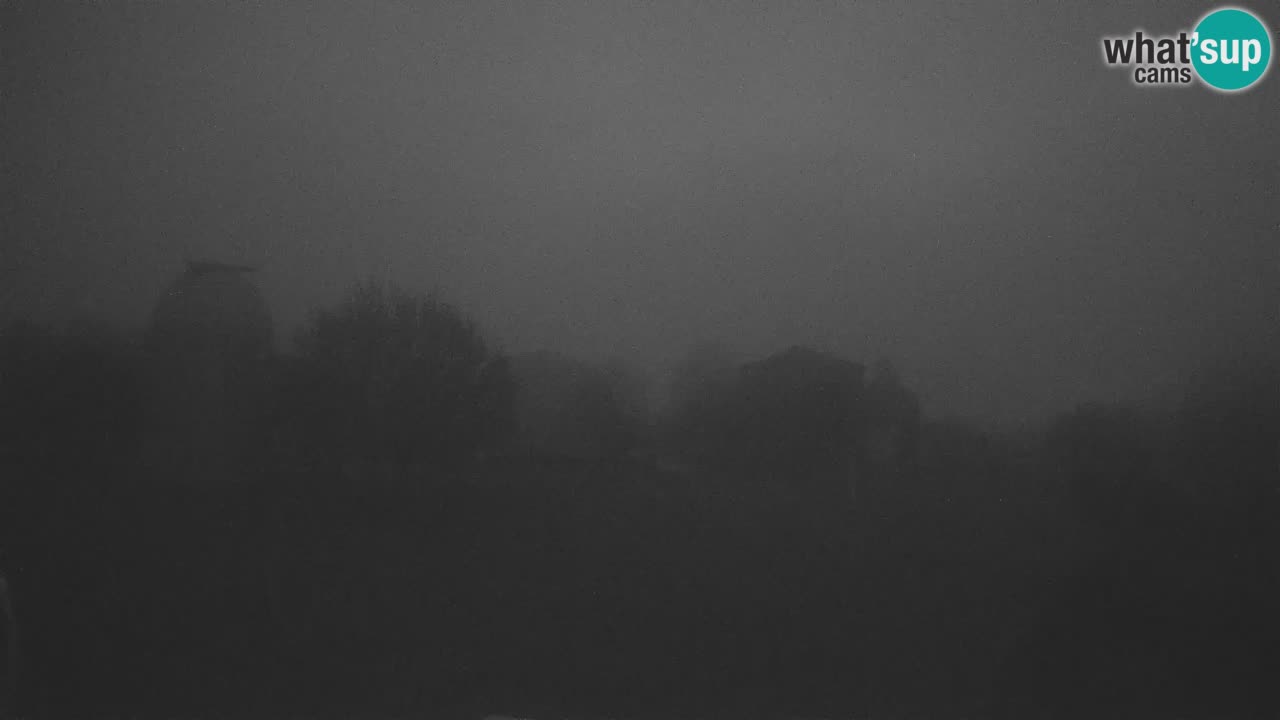 Webcam live dell’Osservatorio di  – Esplora il cielo, gli asteroidi, i comete e i meteoroidi.