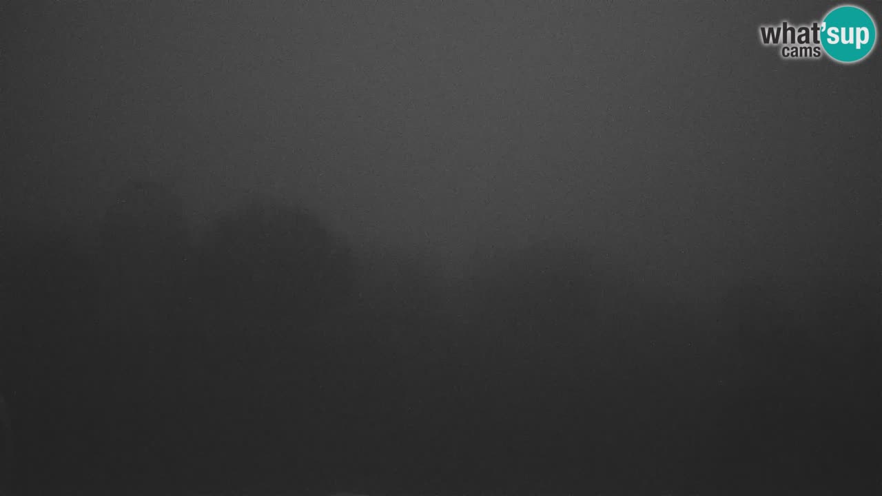 Webcam en direct de l’Observatoire de Višnjan – Explorez le ciel, les astéroïdes, les comètes et les météoroïdes