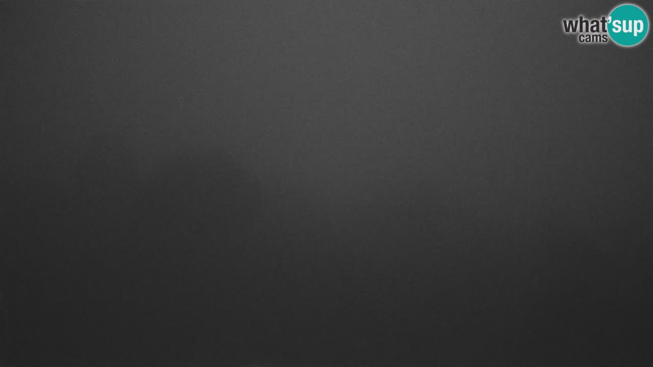 Webcam en direct de l’Observatoire de Višnjan – Explorez le ciel, les astéroïdes, les comètes et les météoroïdes