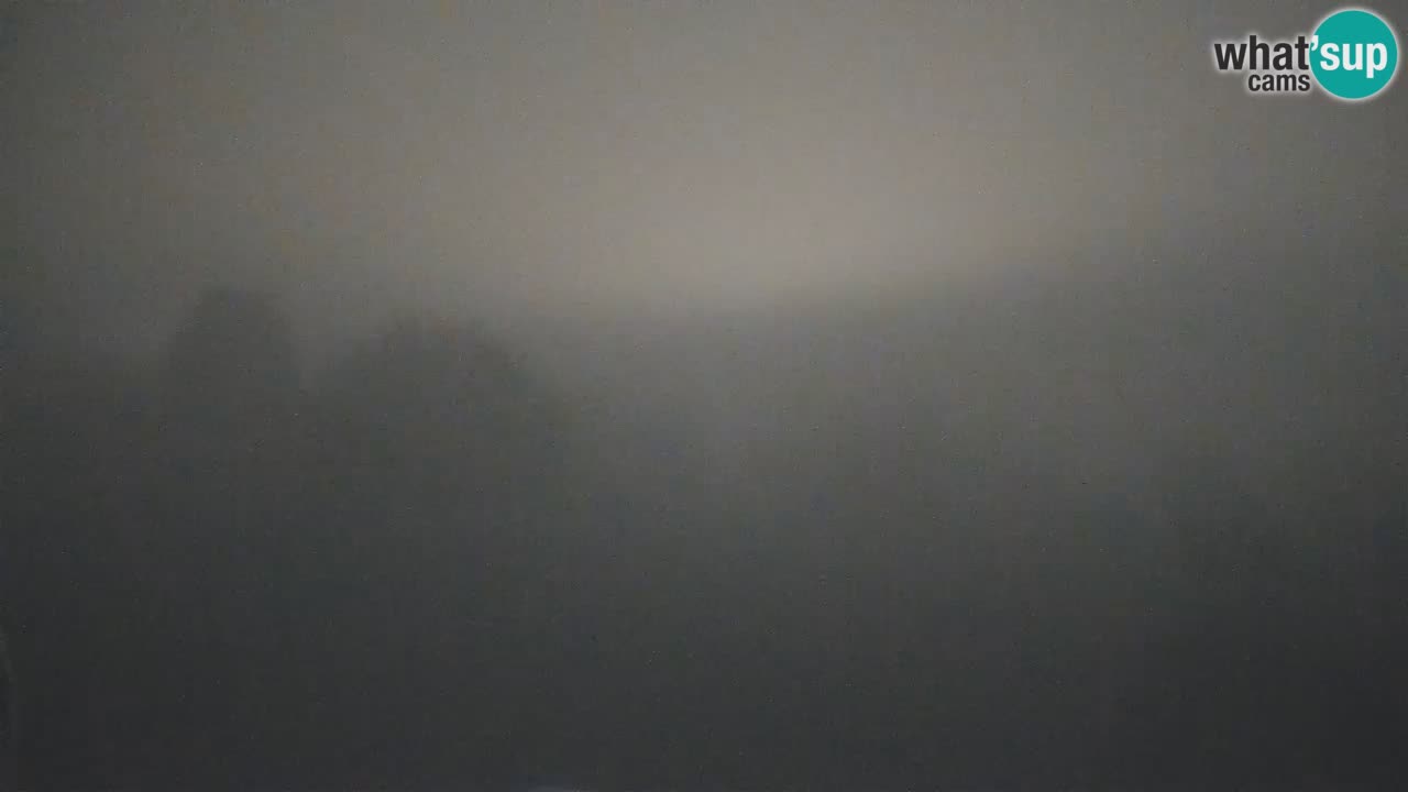 Webcam en direct de l’Observatoire de Višnjan – Explorez le ciel, les astéroïdes, les comètes et les météoroïdes