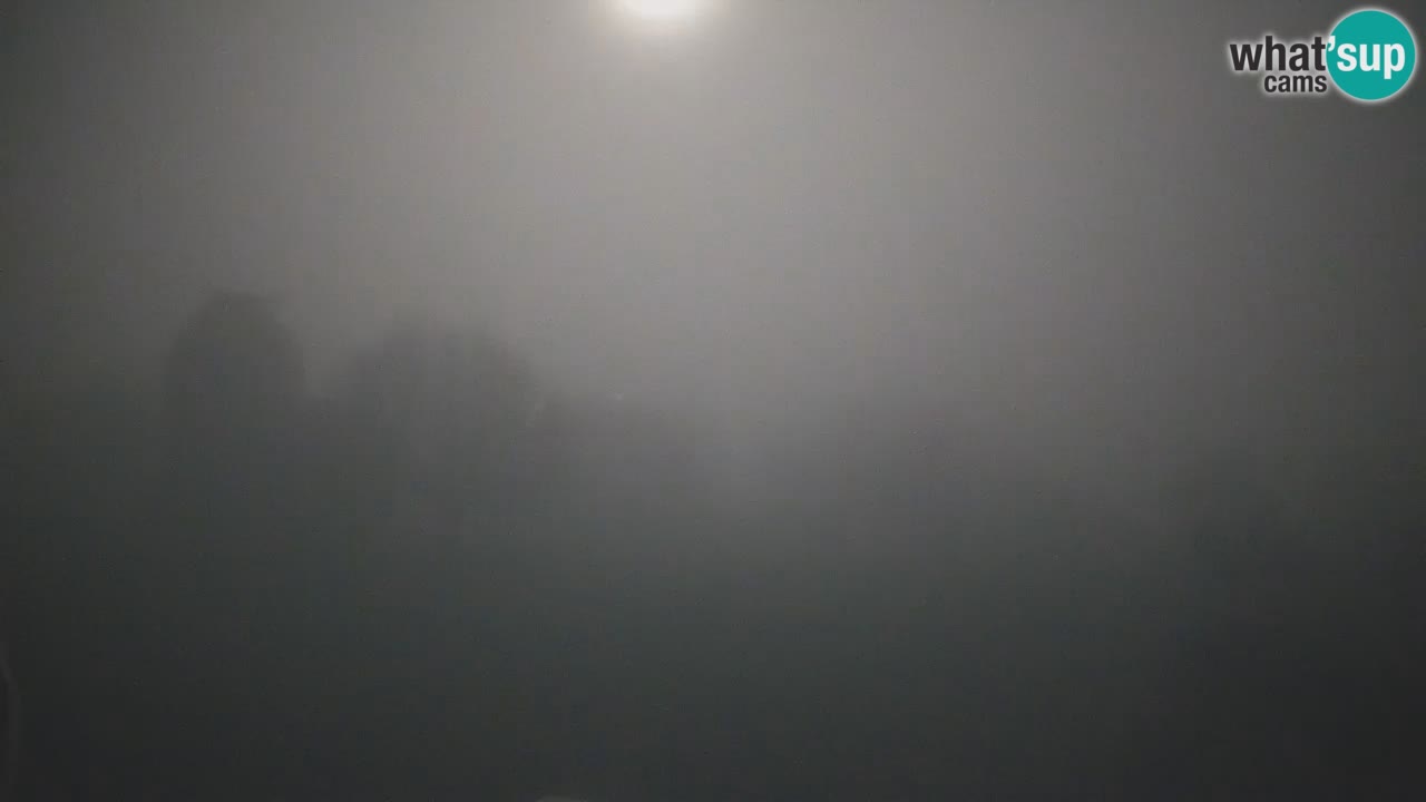 Višnjan-Observatorium Live Webcam – Explore the Sky, Asteroids, Comets, and Meteoroids