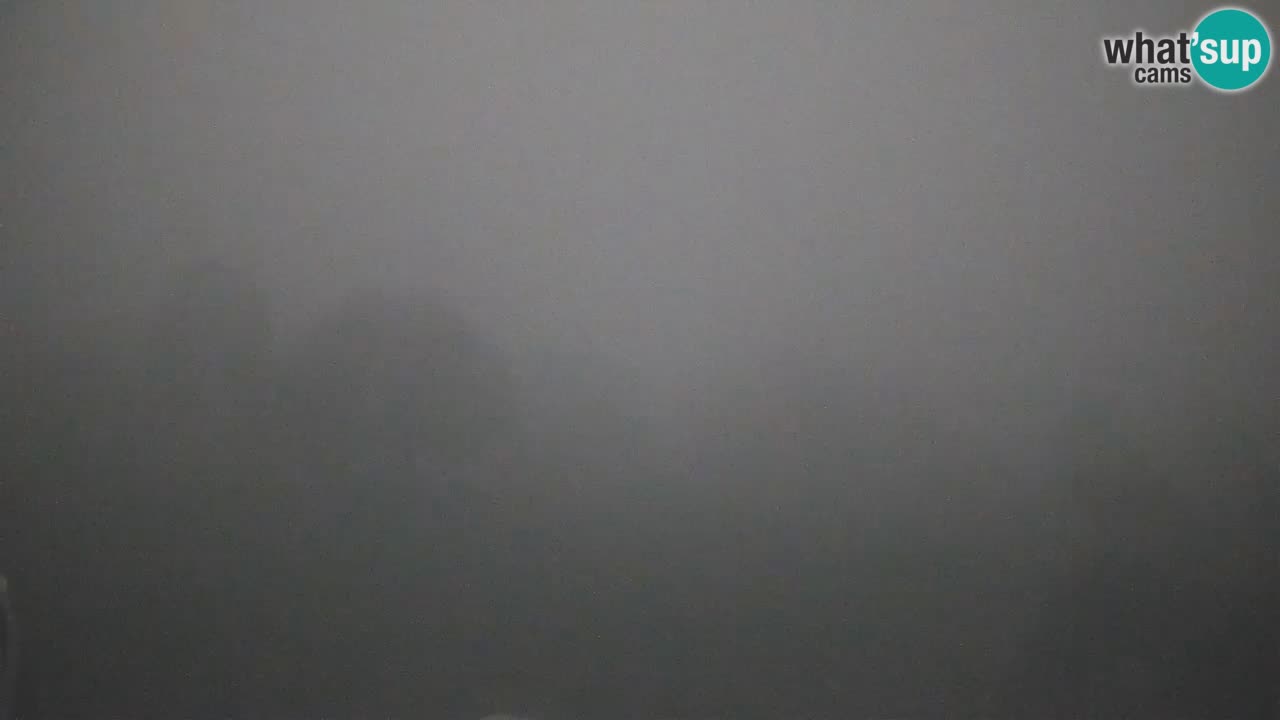 Webcam live dell’Osservatorio di  – Esplora il cielo, gli asteroidi, i comete e i meteoroidi.