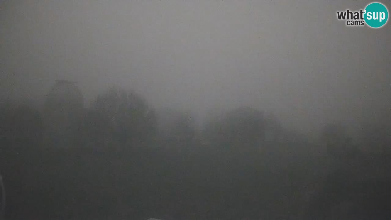 Višnjan-Observatorium Live Webcam – Explore the Sky, Asteroids, Comets, and Meteoroids