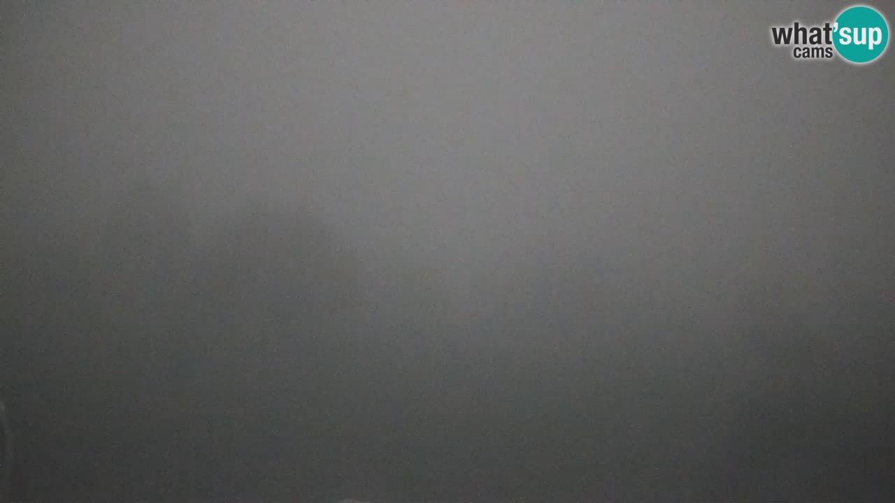 Webcam en direct de l’Observatoire de Višnjan – Explorez le ciel, les astéroïdes, les comètes et les météoroïdes