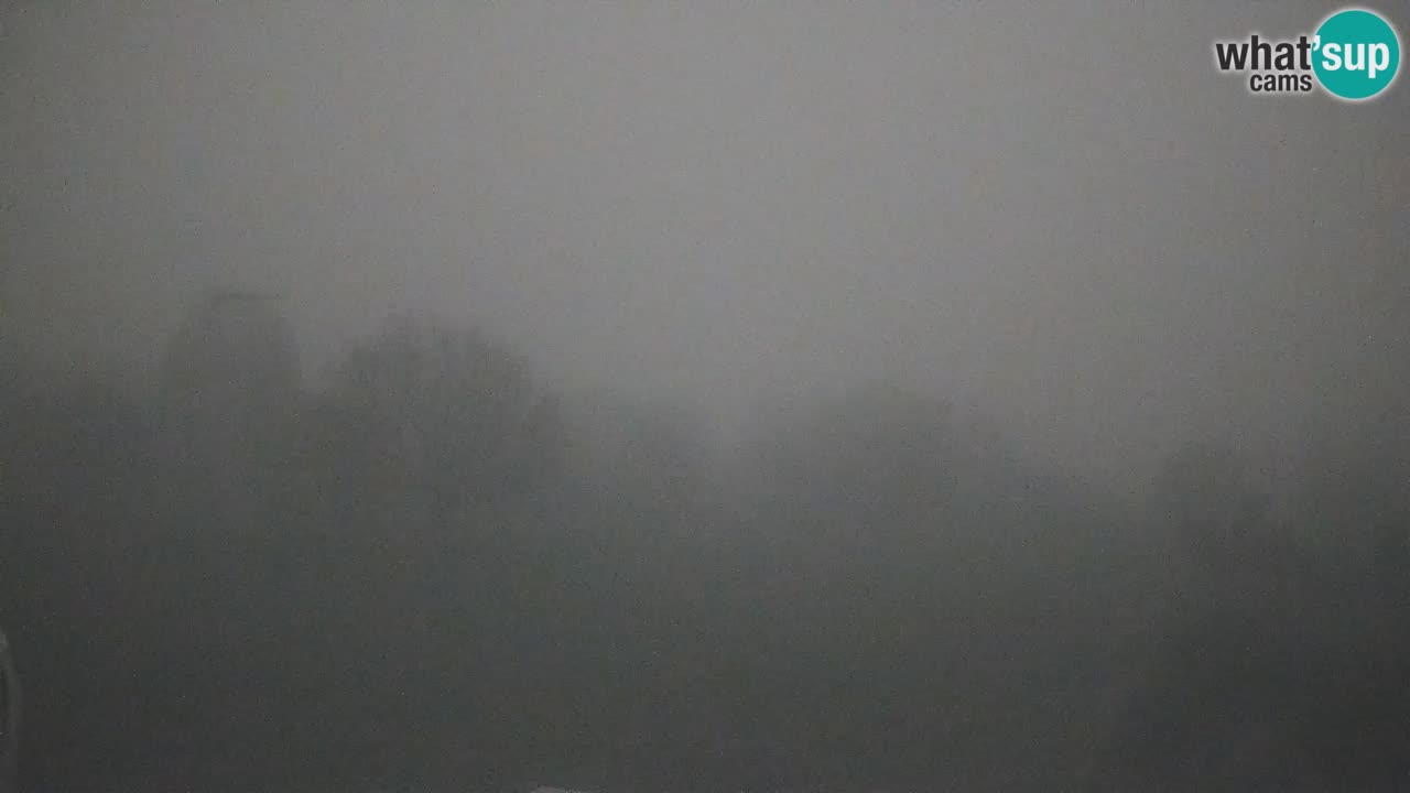 Višnjan-Observatorium Live Webcam – Explore the Sky, Asteroids, Comets, and Meteoroids