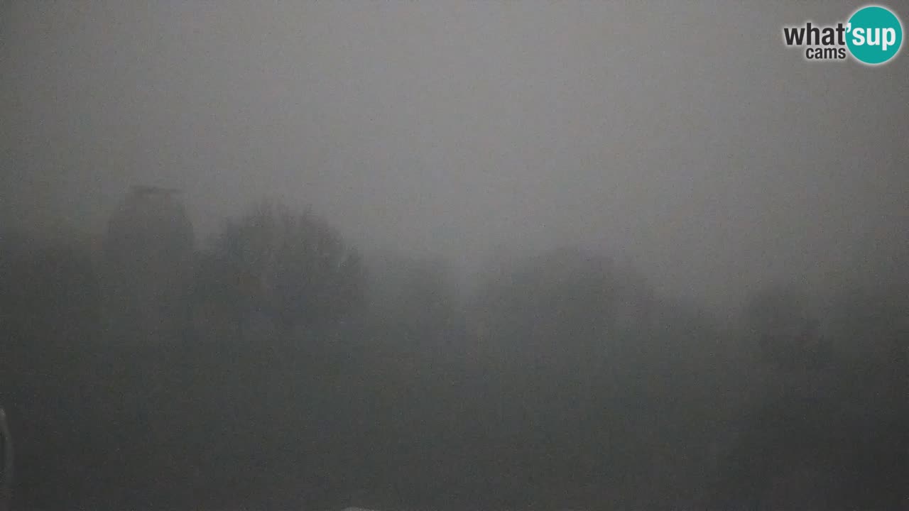 Webcam live dell’Osservatorio di  – Esplora il cielo, gli asteroidi, i comete e i meteoroidi.