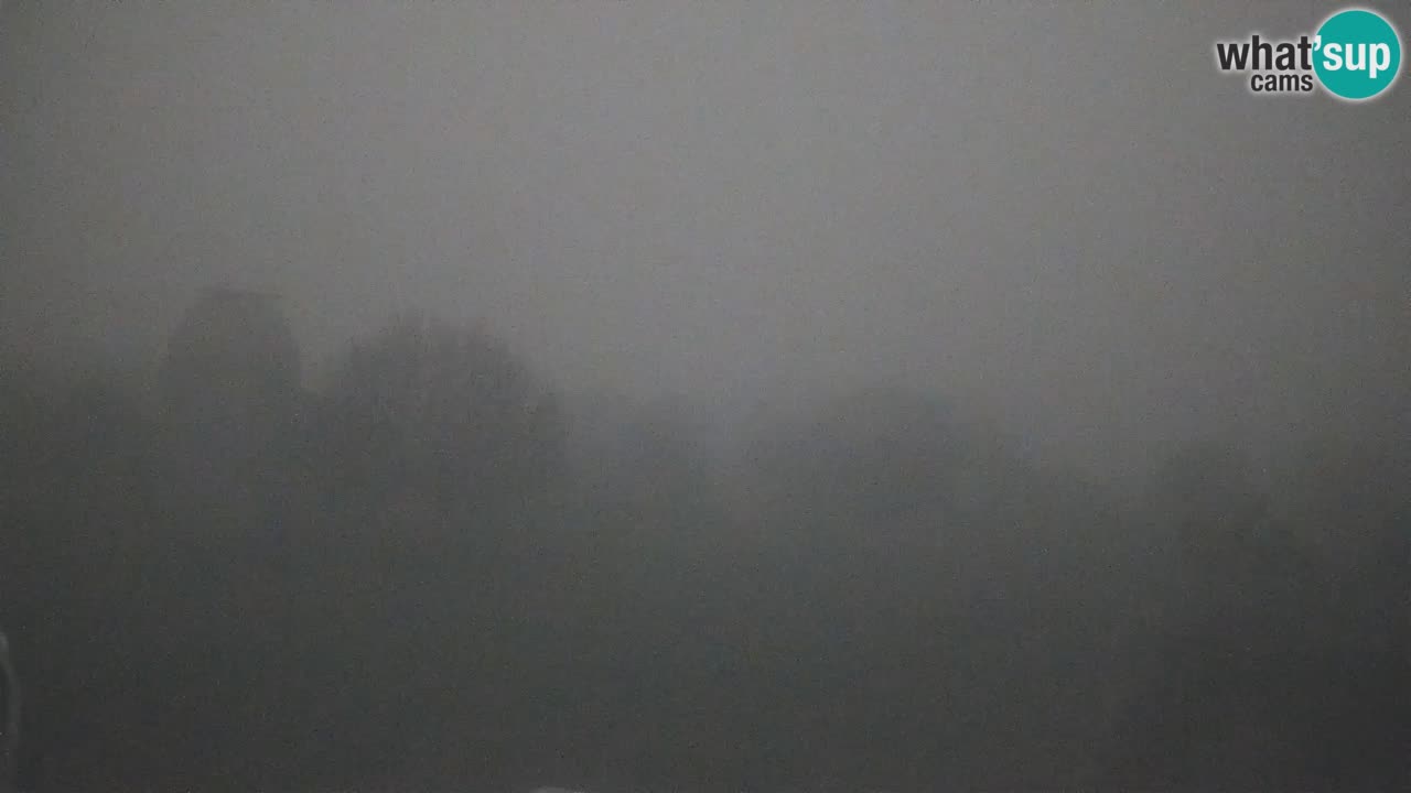 Višnjan Observatory Live Webcam – Explore the Sky, Asteroids, Comets, and Meteoroids