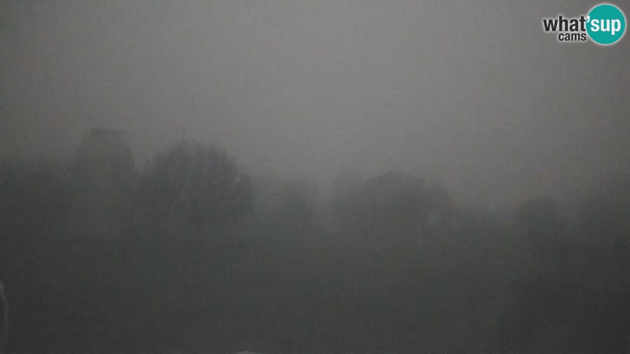 Webcam live dell’Osservatorio di  – Esplora il cielo, gli asteroidi, i comete e i meteoroidi.