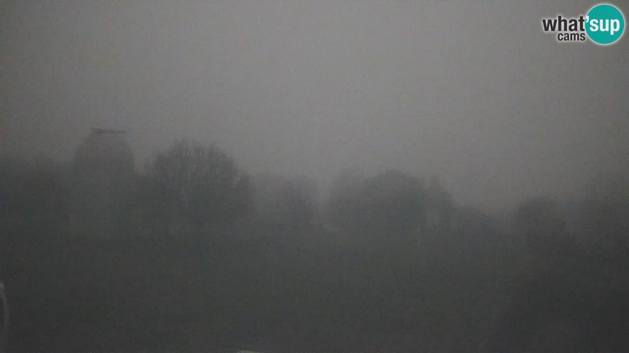 Webcam en direct de l’Observatoire de Višnjan – Explorez le ciel, les astéroïdes, les comètes et les météoroïdes