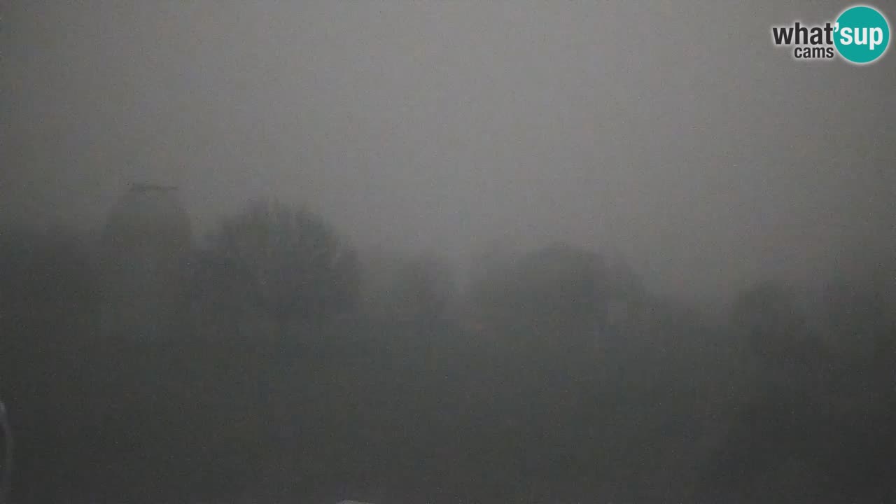 Višnjan Observatory Live Webcam – Explore the Sky, Asteroids, Comets, and Meteoroids