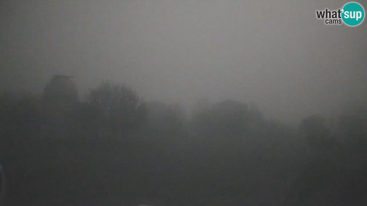 Webcam live dell’Osservatorio di  – Esplora il cielo, gli asteroidi, i comete e i meteoroidi.