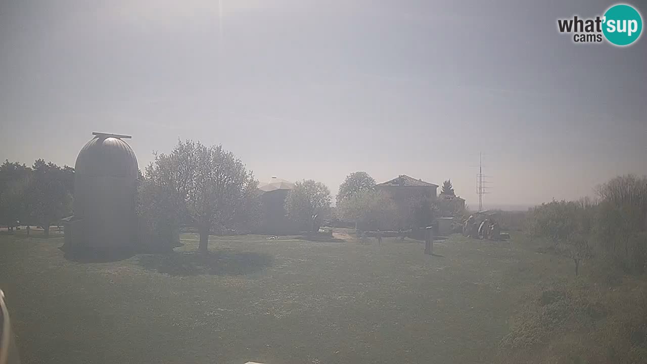 Webcam en direct de l’Observatoire de Višnjan – Explorez le ciel, les astéroïdes, les comètes et les météoroïdes