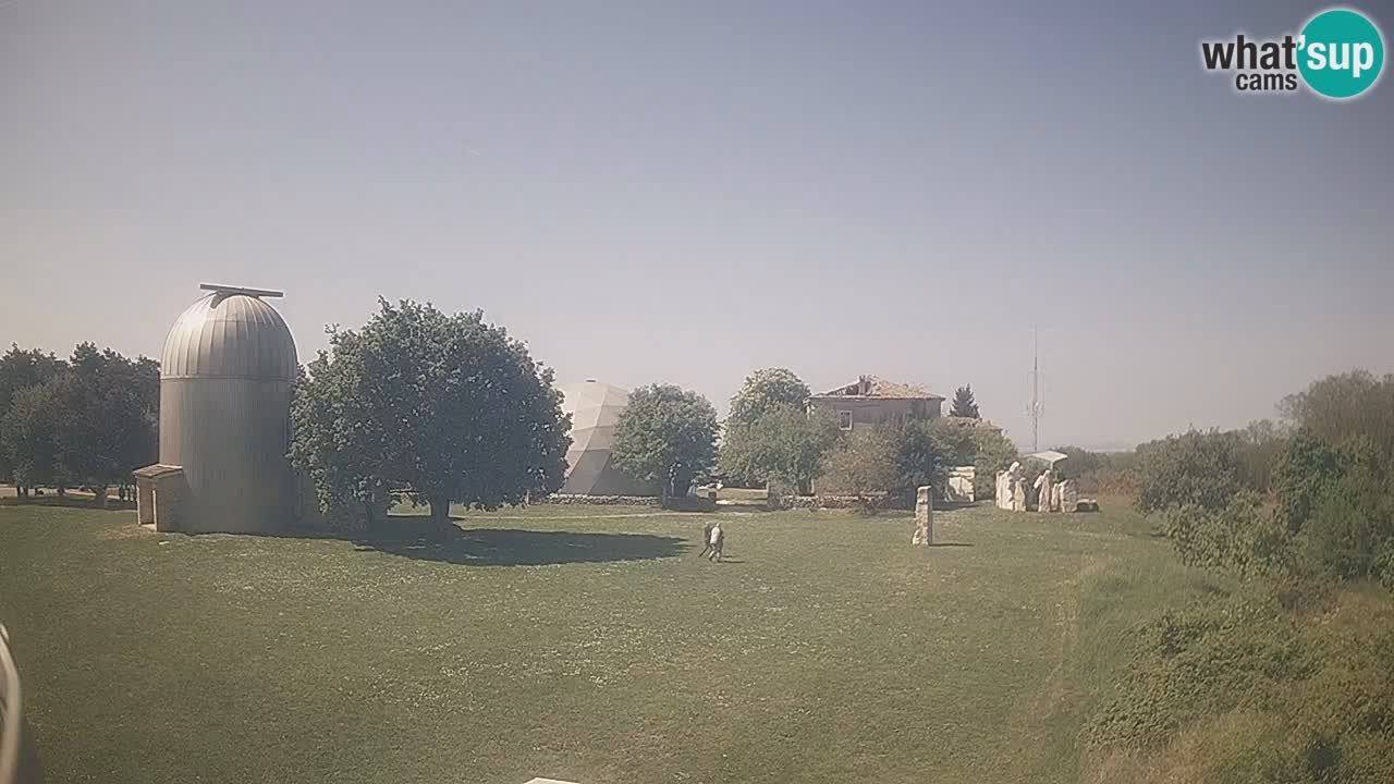 Webcam live dell’Osservatorio di  – Esplora il cielo, gli asteroidi, i comete e i meteoroidi.