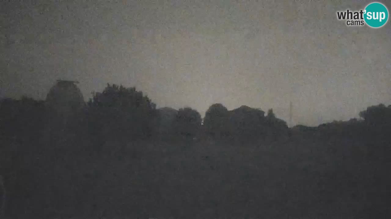 Višnjan-Observatorium Live Webcam – Explore the Sky, Asteroids, Comets, and Meteoroids