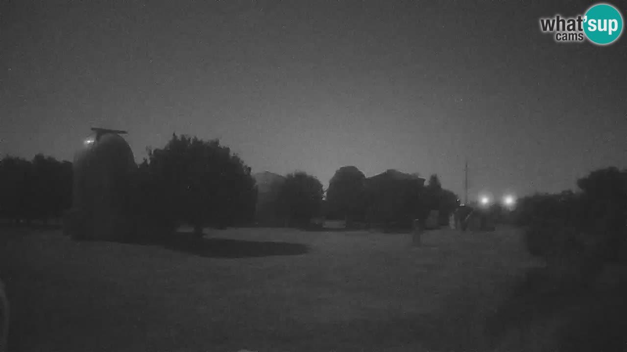Webcam en direct de l’Observatoire de Višnjan – Explorez le ciel, les astéroïdes, les comètes et les météoroïdes