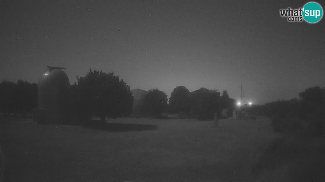 Višnjan-Observatorium Live Webcam – Explore the Sky, Asteroids, Comets, and Meteoroids
