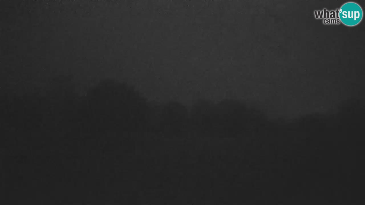 Cámara web en vivo del Observatorio de Višnjan: explora el cielo, los asteroides, cometas y meteoroides