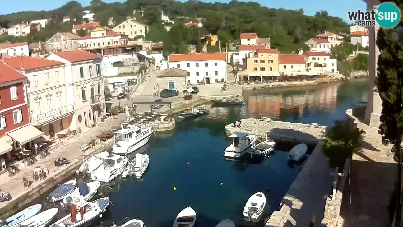 Webcam Live – The harbor and the bay of Veli Lošinj