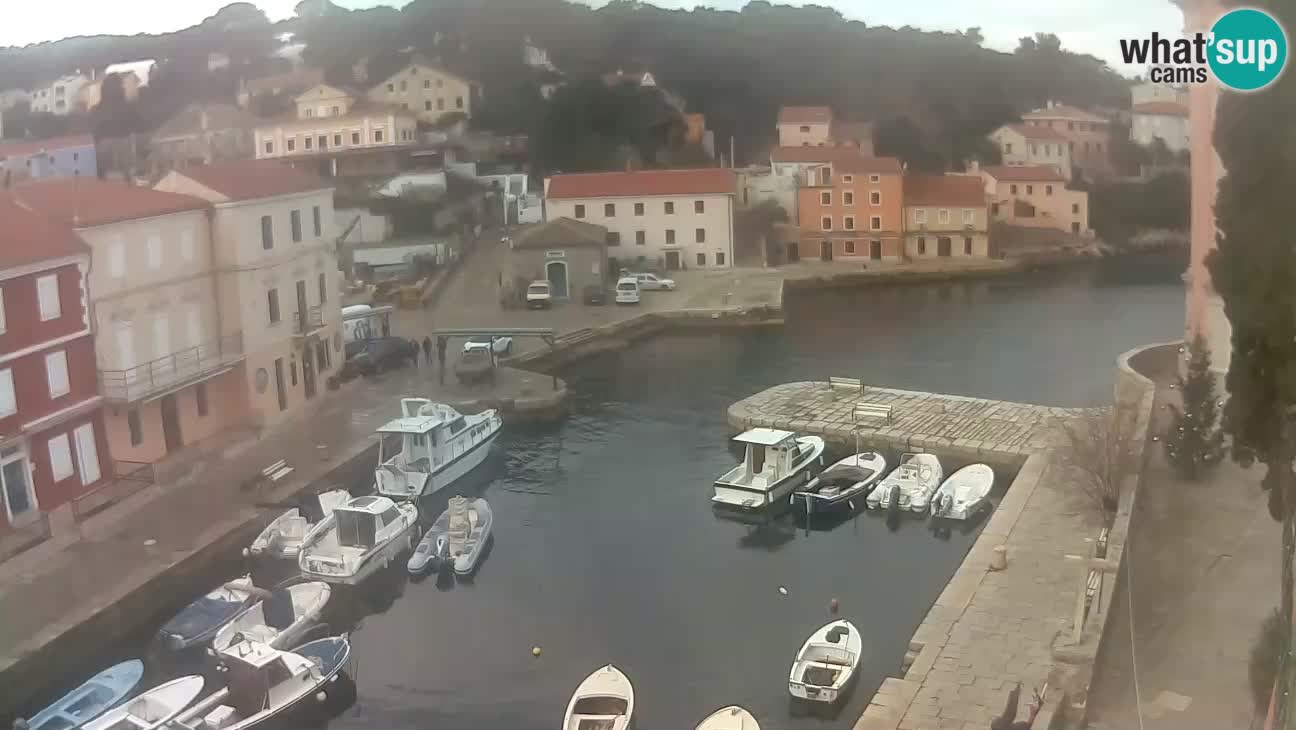 Webcam dal vivo – Il porticciolo e la baia di Lussingrande